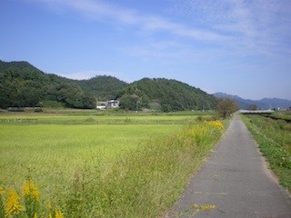 f:id:Mitsuhiko:20101016104620j:image f:id:Mitsuhiko:20101016104620j:image
