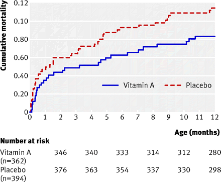 f:id:MotoNesu:20100328063021g:image f:id:MotoNesu:20100328063021g:image