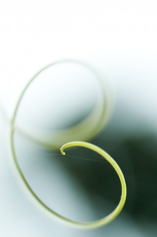 f:id:MotoNesu:20110217054337j:image