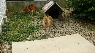 f:id:Mt77K626:20150811115334j:image f:id:Mt77K626:20150811115334j:image