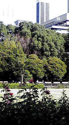 f:id:NARASIGE:20110828160010j:image f:id:NARASIGE:20110828160010j:image