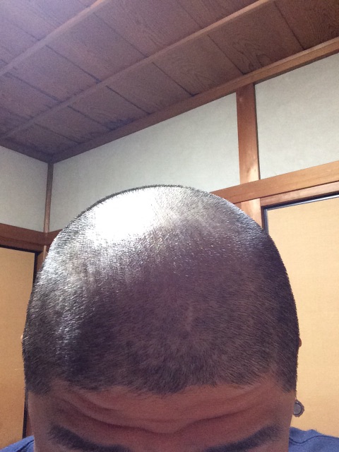 f:id:NERONGA:20150510200219j:image f:id:NERONGA:20150510200219j:image