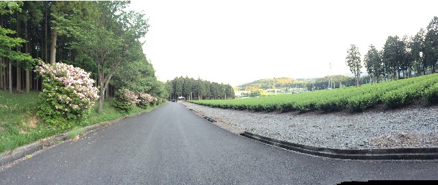 f:id:NERONGA:20150510202243j:image f:id:NERONGA:20150510202243j:image