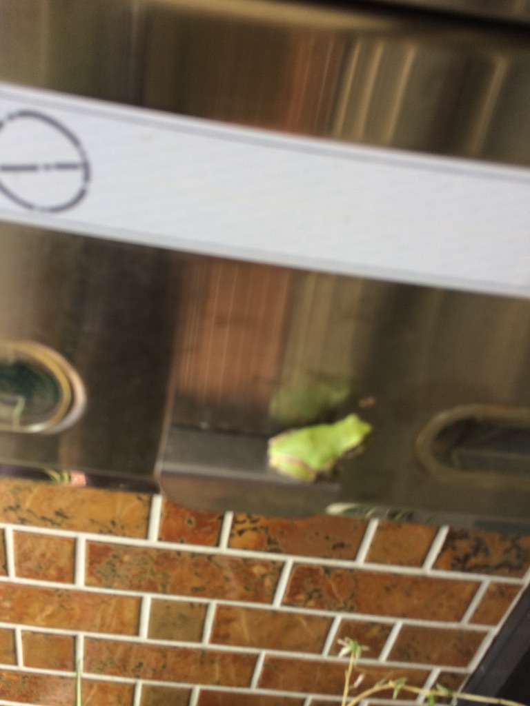 f:id:NERONGA:20150728213423j:image f:id:NERONGA:20150728213423j:image