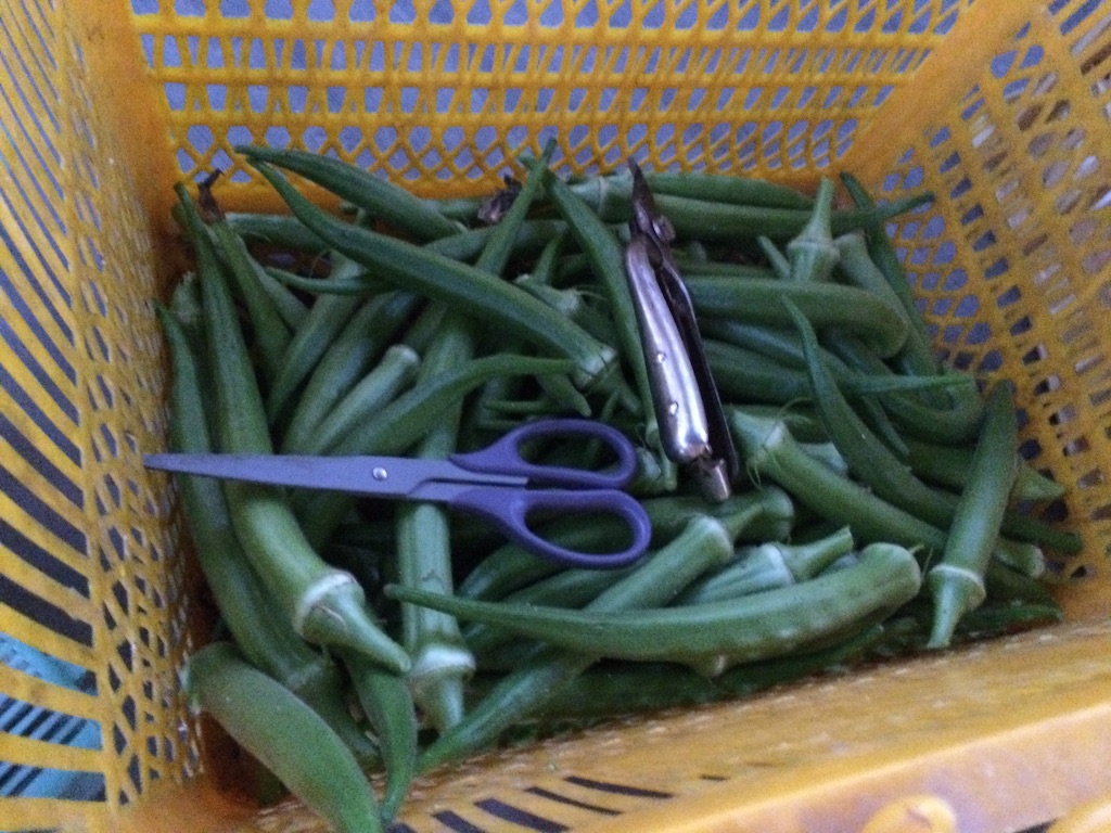 f:id:NERONGA:20150802001519j:image f:id:NERONGA:20150802001519j:image