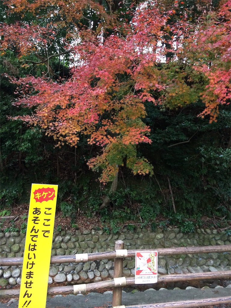 f:id:NERONGA:20151215205309j:image f:id:NERONGA:20151215205309j:image