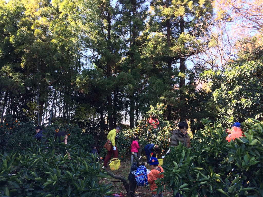 f:id:NERONGA:20151220232709j:image f:id:NERONGA:20151220232709j:image