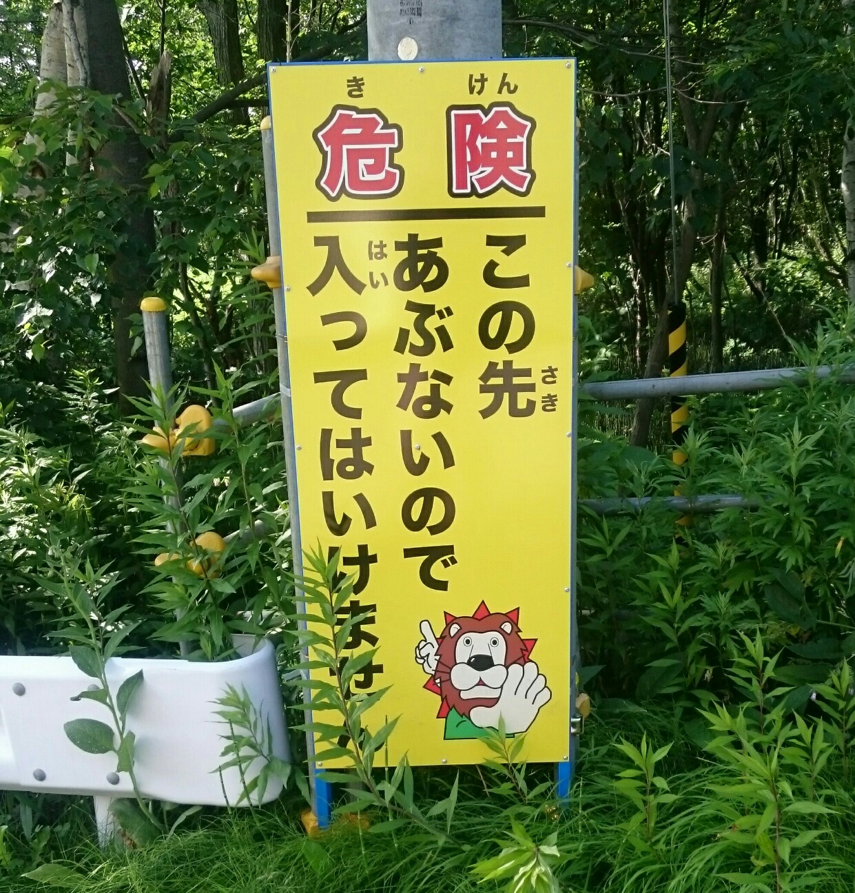 f:id:NICEBADGE:20160708155806j:image f:id:NICEBADGE:20160708155806j:image