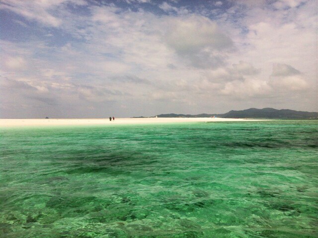 f:id:NISSHI_A311:20160206003248j:image f:id:NISSHI_A311:20160206003248j:image