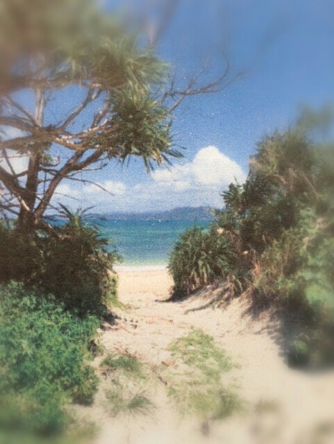 f:id:NISSHI_A311:20160207160723j:image f:id:NISSHI_A311:20160207160723j:image