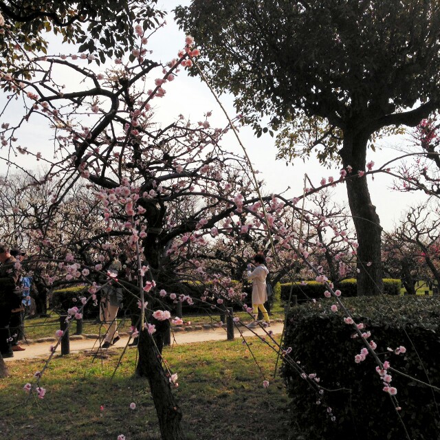 f:id:NISSHI_A311:20160305190904j:image f:id:NISSHI_A311:20160305190904j:image