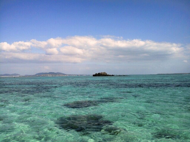 f:id:NISSHI_A311:20160424015852j:image f:id:NISSHI_A311:20160424015852j:image