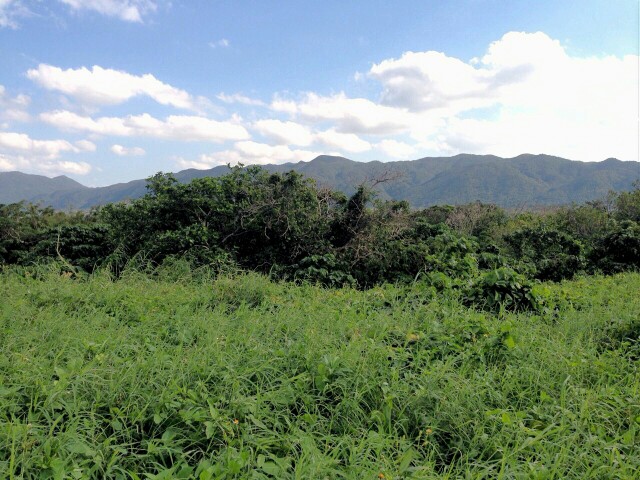 f:id:NISSHI_A311:20160501203030j:image f:id:NISSHI_A311:20160501203030j:image