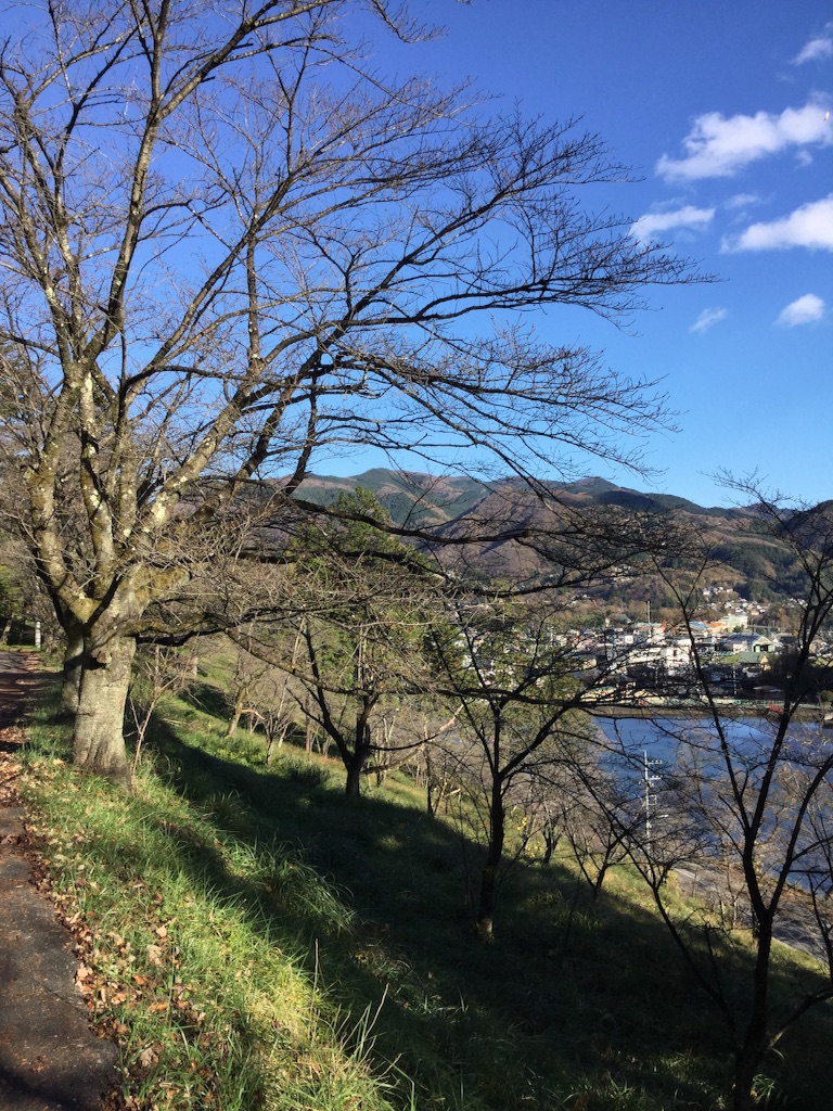 f:id:Nag_N:20151128221217j:image f:id:Nag_N:20151128221217j:image