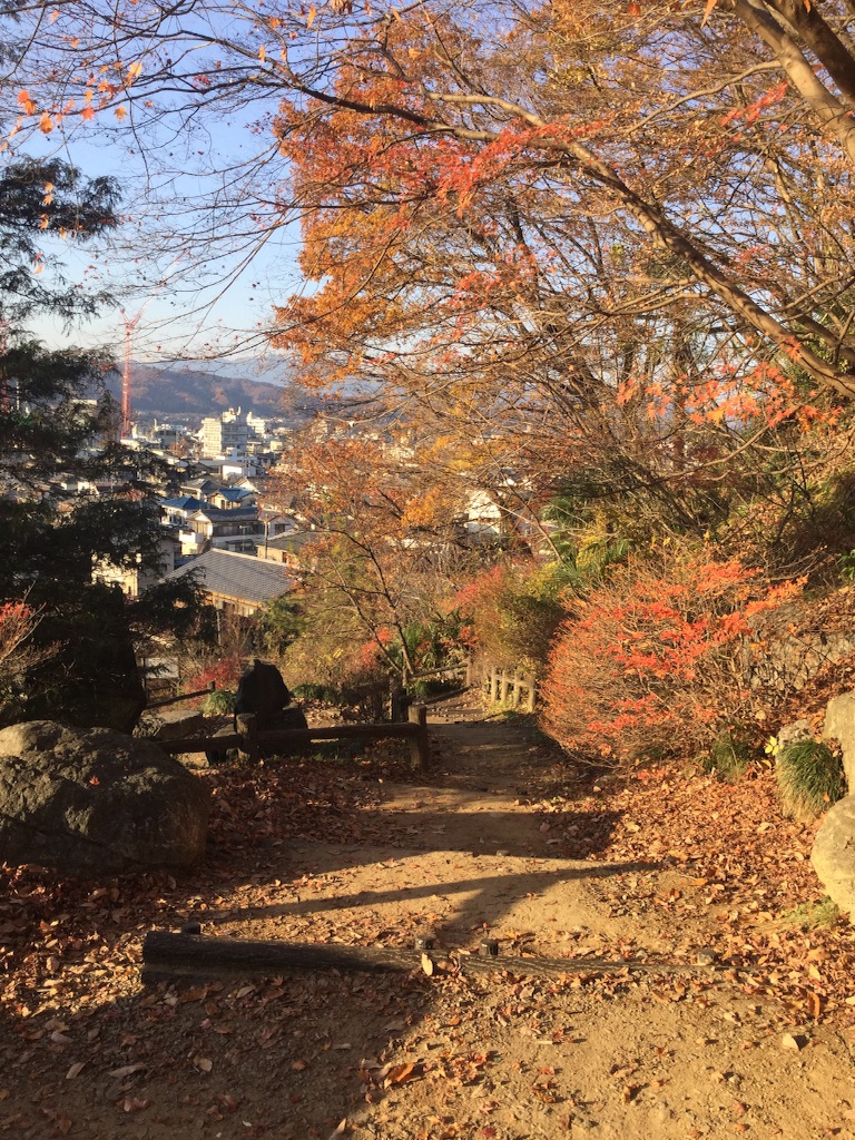 f:id:Nag_N:20151208174513j:image f:id:Nag_N:20151208174513j:image