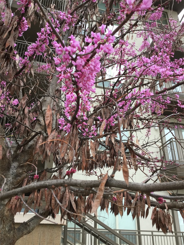 f:id:Nancylucci:20160305112630j:image f:id:Nancylucci:20160305112630j:image