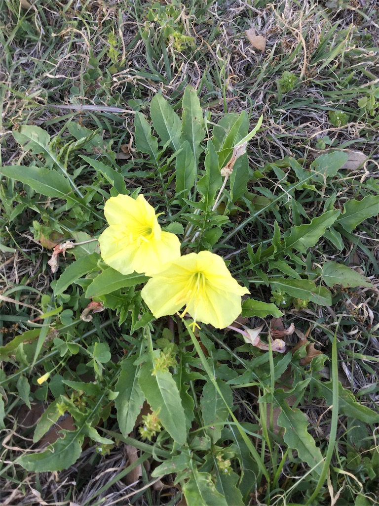 f:id:Nancylucci:20160404003142j:image f:id:Nancylucci:20160404003142j:image