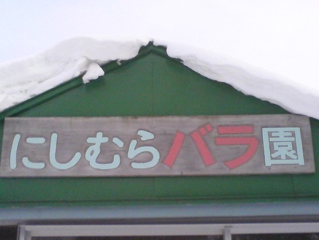 f:id:Nishimura_Rose_Garden:20080116201201j:image f:id:Nishimura_Rose_Garden:20080116201201j:image