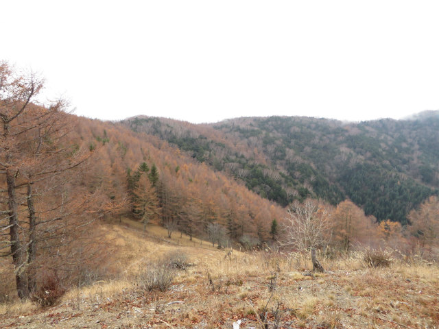 f:id:No900:20151231235746j:plain f:id:No900:20151231235746j:plain