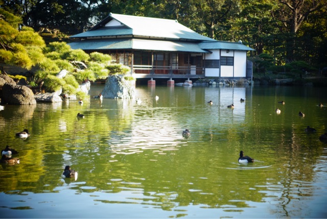 f:id:OQN:20150207095537j:plain f:id:OQN:20150207095537j:plain