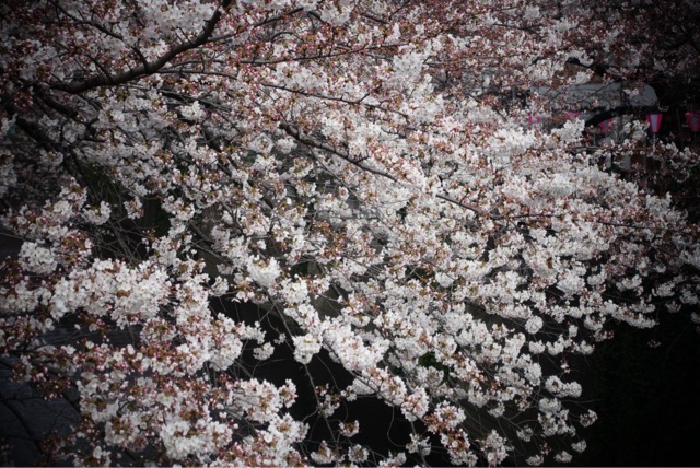 f:id:OQN:20150328205658j:plain f:id:OQN:20150328205658j:plain