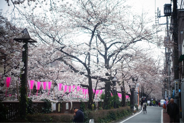 f:id:OQN:20150328205729j:plain f:id:OQN:20150328205729j:plain