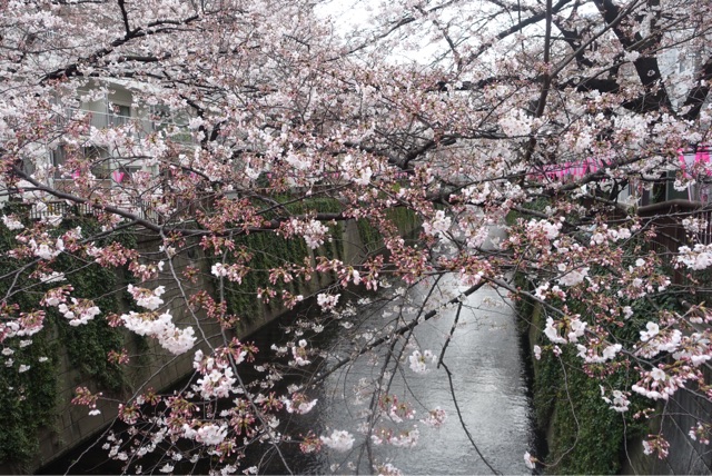 f:id:OQN:20150328205859j:plain f:id:OQN:20150328205859j:plain