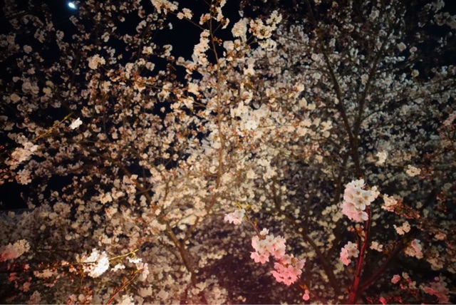 f:id:OQN:20150328205949j:plain f:id:OQN:20150328205949j:plain