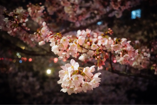 f:id:OQN:20150328210031j:plain f:id:OQN:20150328210031j:plain
