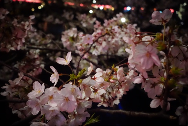 f:id:OQN:20150328210149j:plain f:id:OQN:20150328210149j:plain