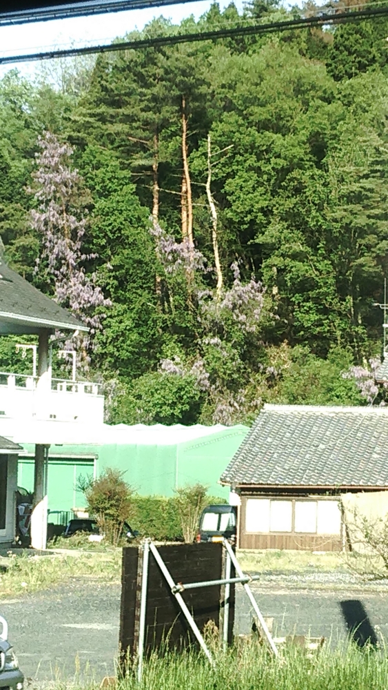 f:id:Omiso:20150506110148j:plain f:id:Omiso:20150506110148j:plain