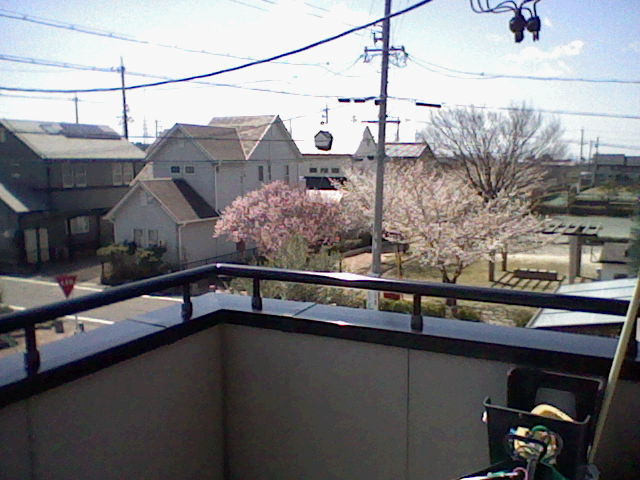 f:id:Omusoba:20120407112408j:image:w360 f:id:Omusoba:20120407112408j:image:w360