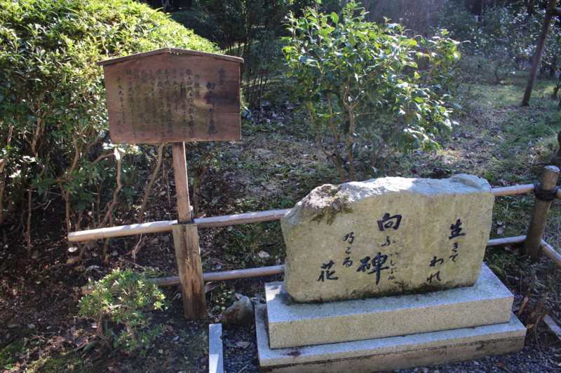 f:id:Omusoba:20131018140512j:plain f:id:Omusoba:20131018140512j:plain