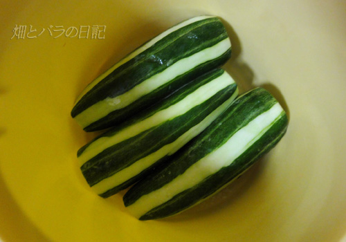 f:id:P-NAS:20110825181150j:image f:id:P-NAS:20110825181150j:image
