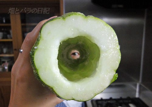 f:id:P-NAS:20110825181159j:image f:id:P-NAS:20110825181159j:image