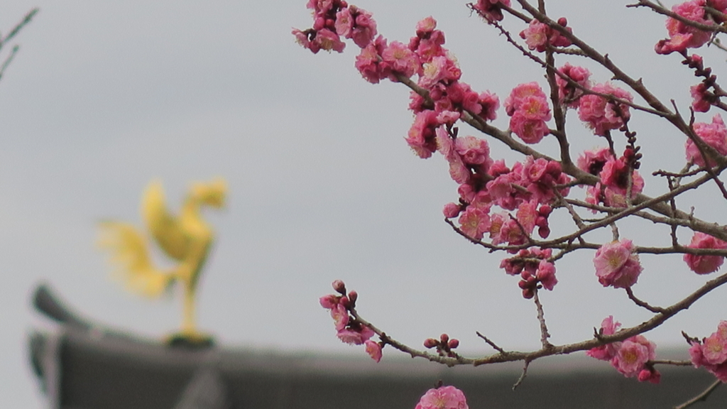 f:id:PNdesign-y:20160310231916j:plain