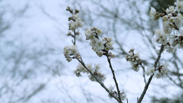 f:id:PNdesign-y:20160310233152j:plain