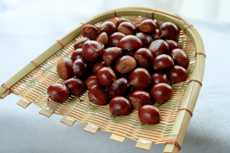 f:id:PageTAKA:20131008084616j:plain f:id:PageTAKA:20131008084616j:plain