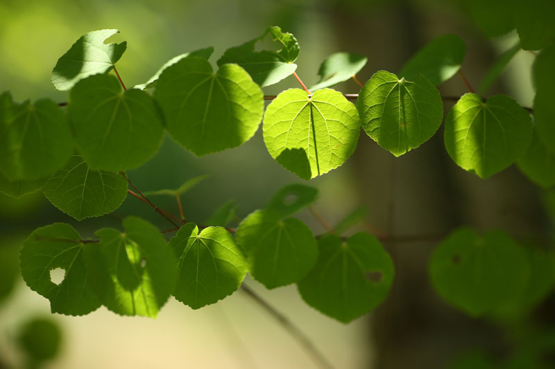 f:id:PageTAKA:20140620100836j:plain