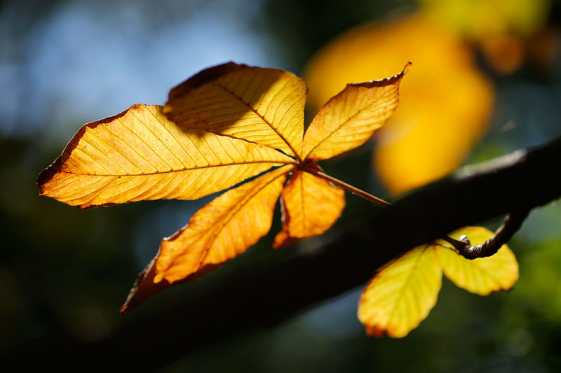 f:id:PageTAKA:20141008131219j:plain f:id:PageTAKA:20141008131219j:plain