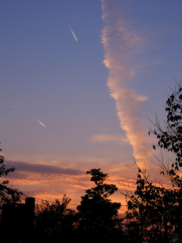 f:id:PageTAKA:20141124201406j:plain