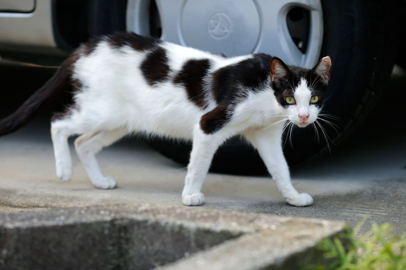 f:id:PageTAKA:20150829103727j:plain