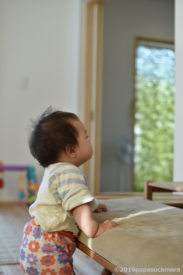 f:id:PapasCamera:20160602125323j:plain