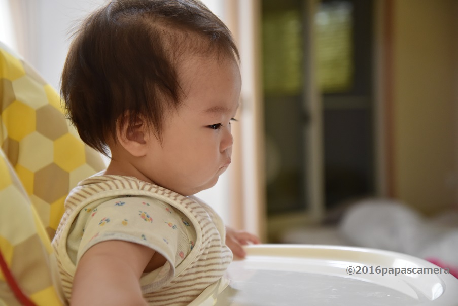 f:id:PapasCamera:20160604231054j:plain