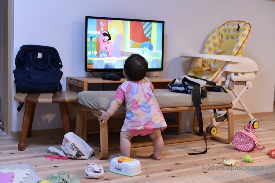 f:id:PapasCamera:20160608120716j:plain