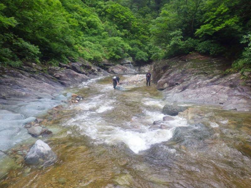 f:id:PerseidCross:20140719150224j:plain f:id:PerseidCross:20140719150224j:plain