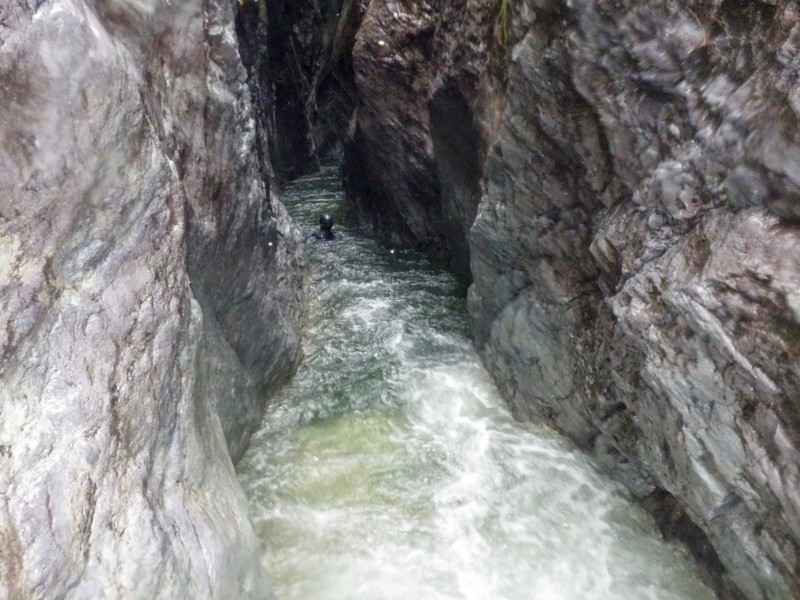 f:id:PerseidCross:20140720162536j:plain f:id:PerseidCross:20140720162536j:plain