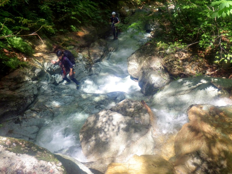 f:id:PerseidCross:20140721094320j:plain f:id:PerseidCross:20140721094320j:plain