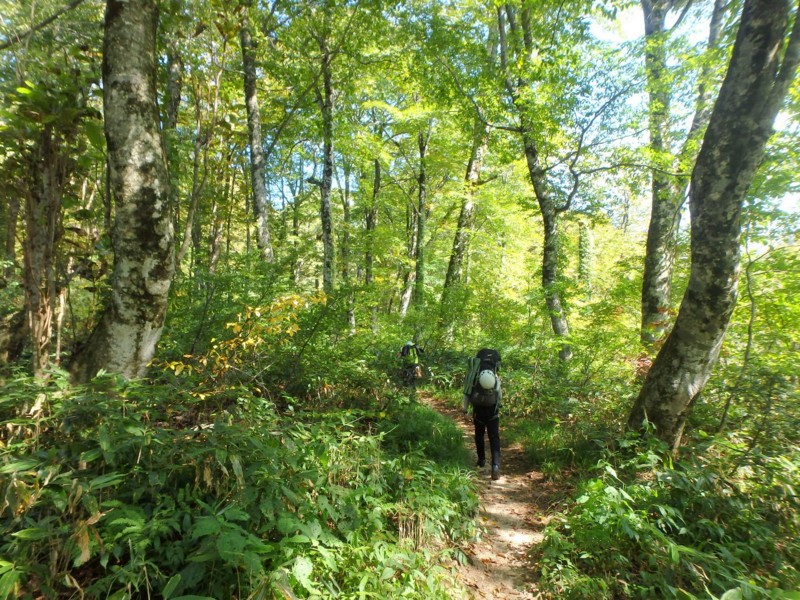 f:id:PerseidCross:20141010113827j:plain