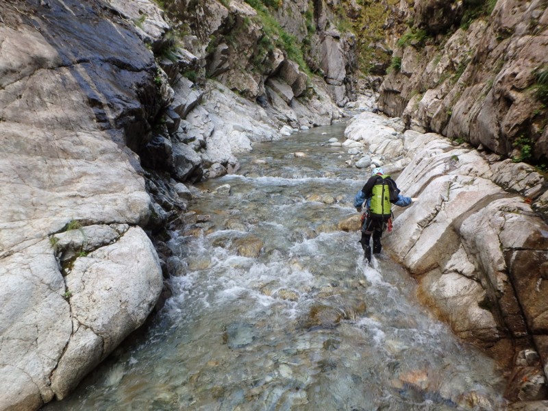 f:id:PerseidCross:20141010145329j:plain